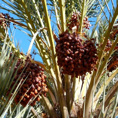 hiking in zagora valley